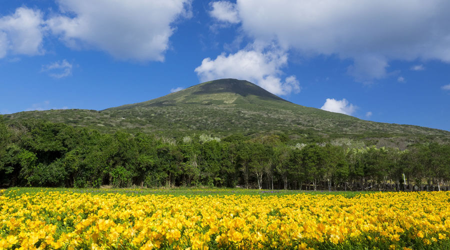 山の景色の画像